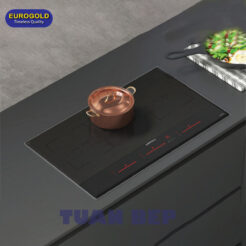 Bếp từ 3 vùng nấu EUH2233 Eurogold