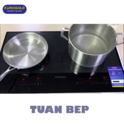 Bếp Từ Đôi EUH1188 Eurogold 2