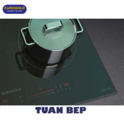 Bếp từ đôi EUH2120 Eurogold 1