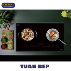 Bếp từ đôi EUH2121 Eurogold 1